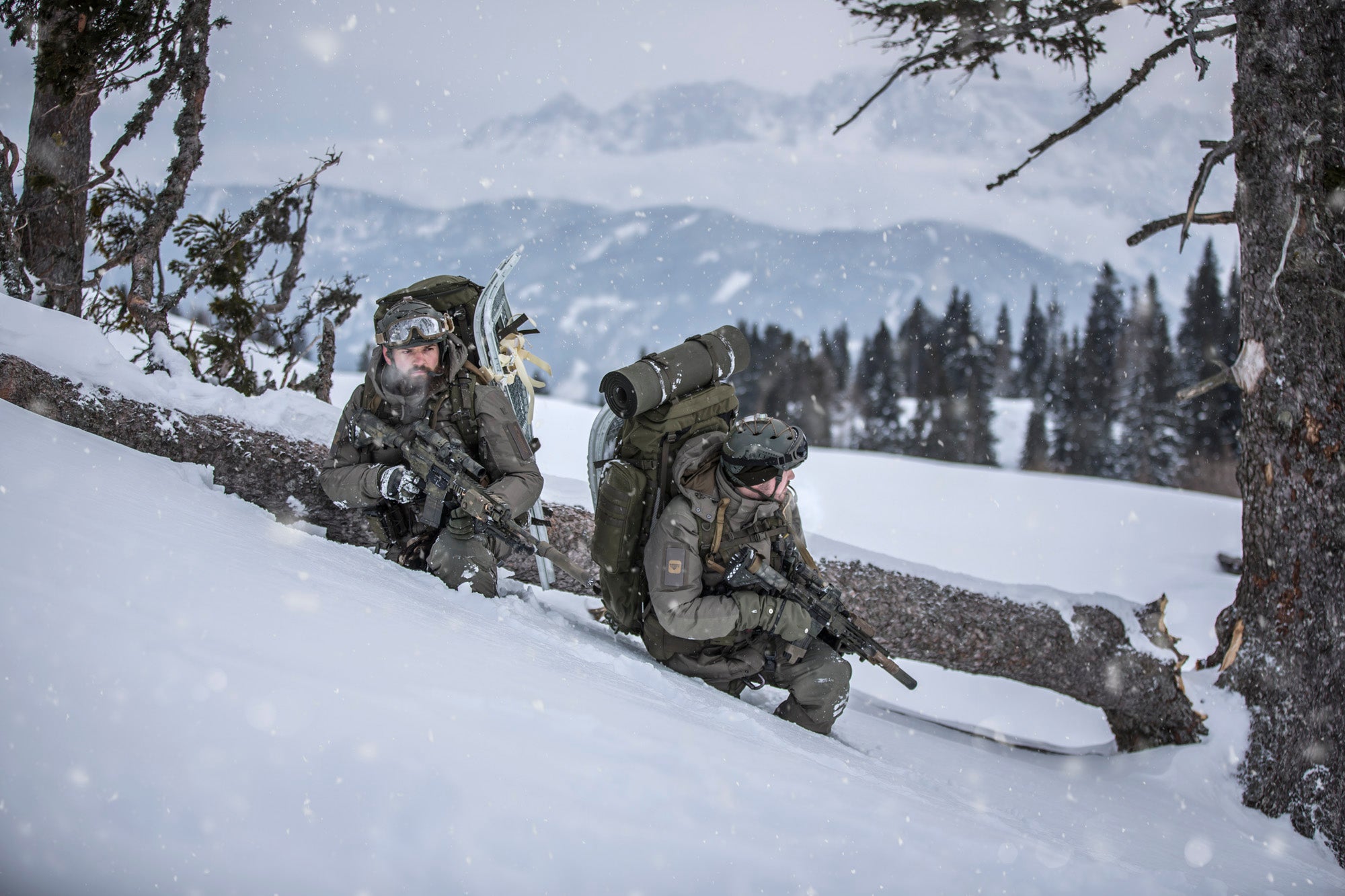 Carinthia Professional