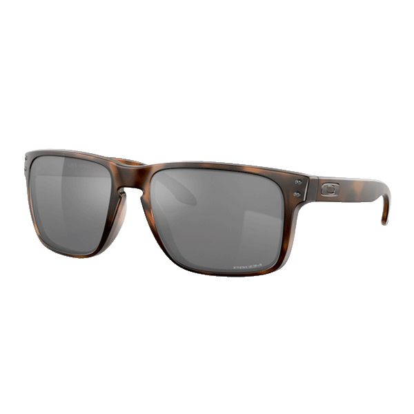 Oakley Holbrook XL