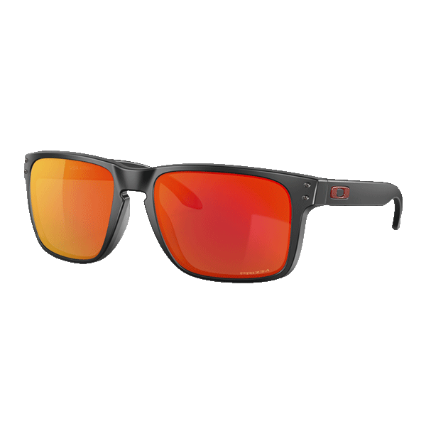 Oakley Holbrook XL
