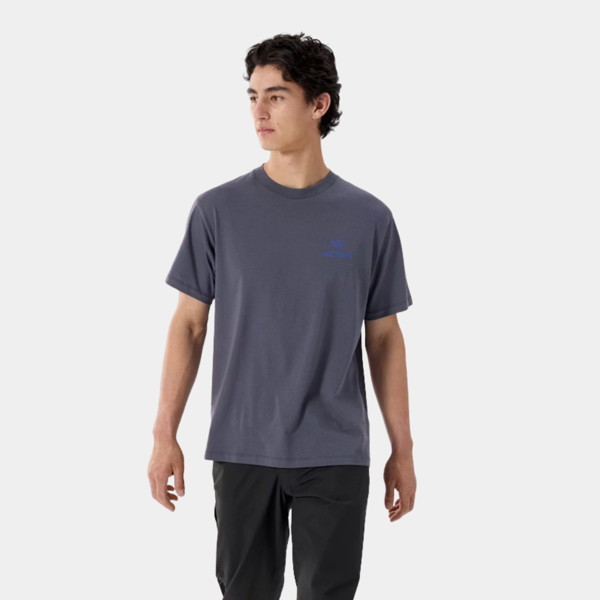Arc'teryx Kragg SL Cotton Bird Short Sleeve Tee for climbing, hiking, training, and everyday wear